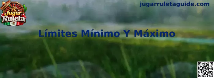 Representación de los límites mínimo y máximo de apuesta en una mesa de ruleta